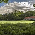 Mijlpalen: Royal Antwerp Golf Club