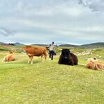 Brora reste un endroit magique