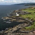 Pas de Open pour le Trump Turnberry